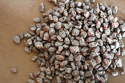 Raisin-Black Seedless