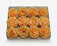 Saffron Ornate Peony