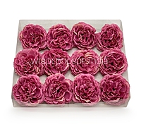 Strawberry Ornate Peony