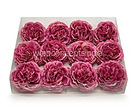 Strawberry Ornate Peony