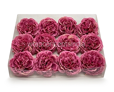 Strawberry Ornate Peony