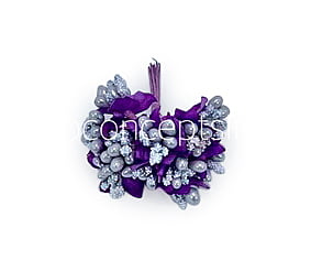 Silver & Purple Pollens