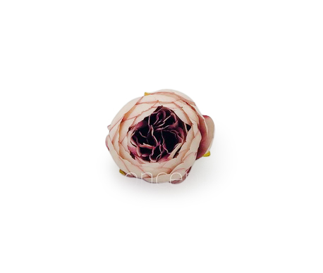 Peony - Blush with hints of Burgundy
