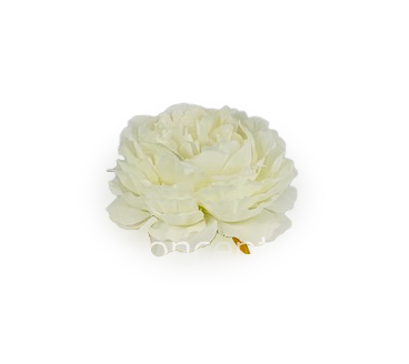 Ornate Peony-Ivory