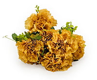 Carnation Bunch Tall