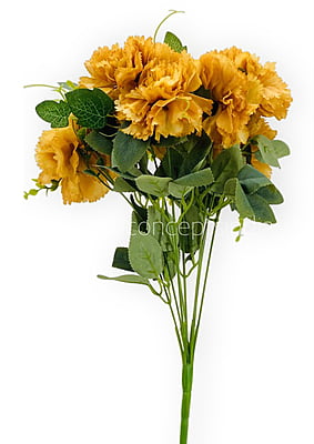 Carnation Bunch Tall