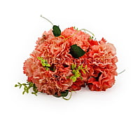 Carnation Bunch Tall