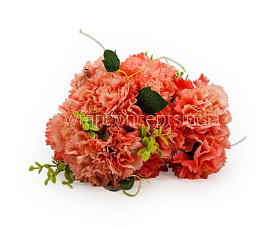 Carnation Bunch Tall