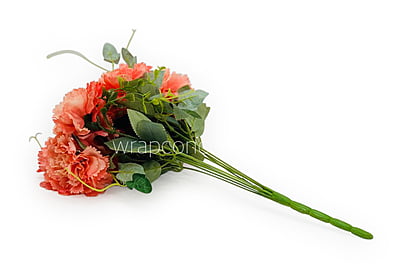 Carnation Bunch Tall