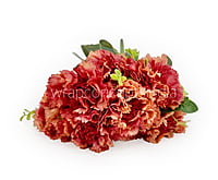 Carnation Bunch Tall
