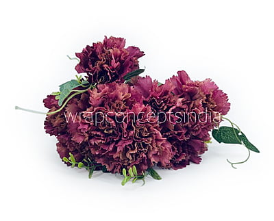 Carnation Bunch Tall