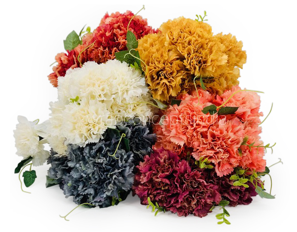 Carnation Bunch Tall