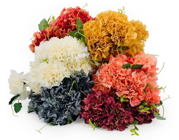 Carnation Bunch Tall