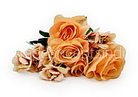 Rose Bunch with Flowers & Fern