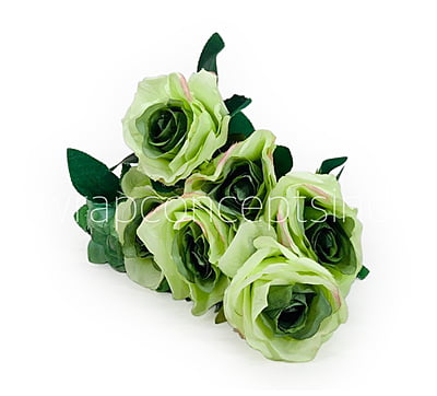 Rose Bunch with Flowers & Fern