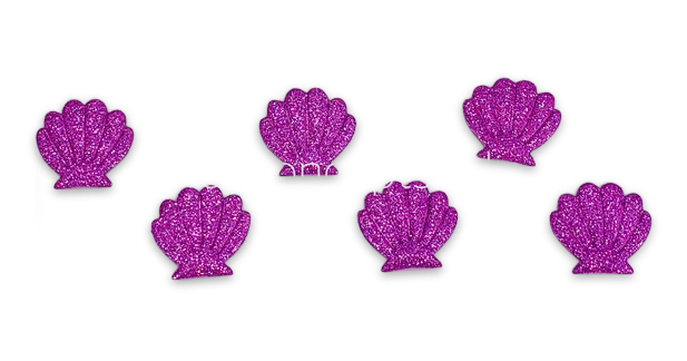 Sea Shell Accessories