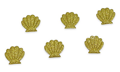 Sea Shell Accessories