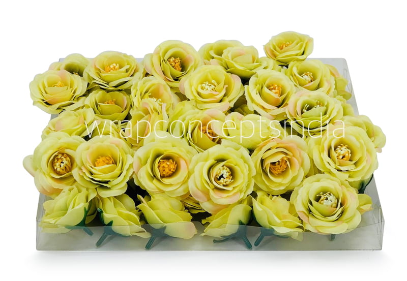 Lime Rose Flower