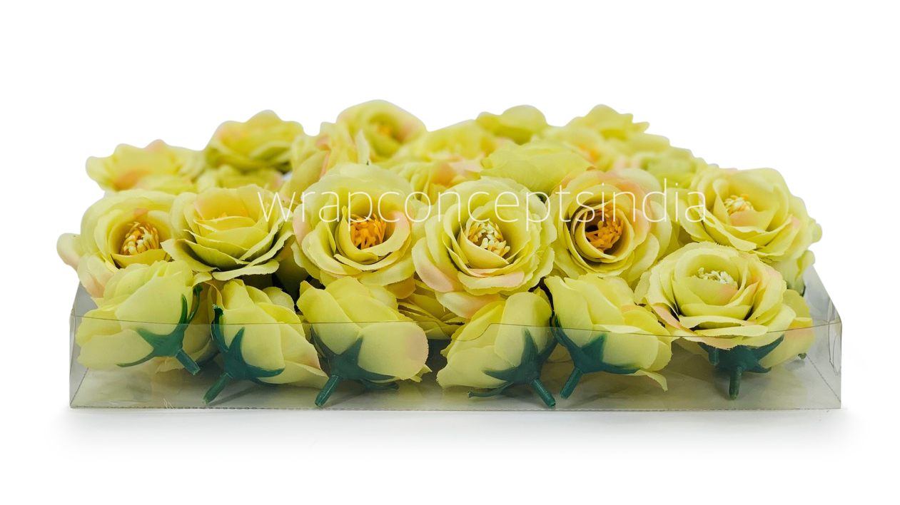 Lime Rose Flower