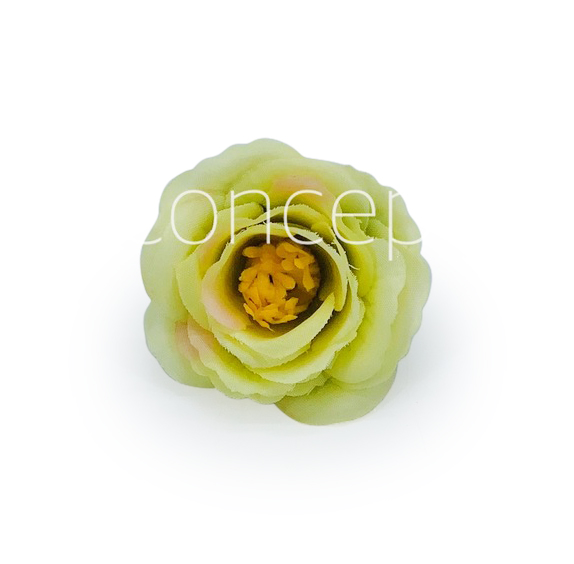 Lime Rose Flower