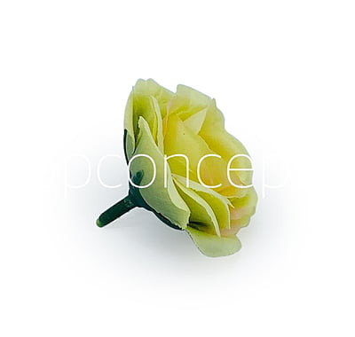 Lime Rose Flower