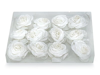 Rose Flower-White