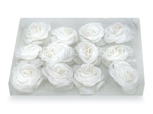 Rose Flower-White