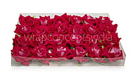 Rose With Leaves - Fuchsia Pink