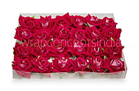 Rose With Leaves - Fuchsia Pink