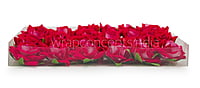 Rose With Leaves - Fuchsia Pink