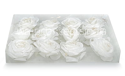 Rose Flower-White