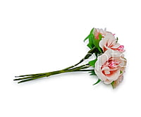 Flowers With Stem -Peach