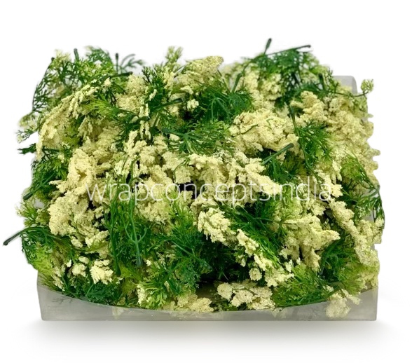 Green Fern Leaves with Cream Edges Green Fern Leaves with Cream Edges