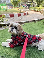 Red Mickey Shirt