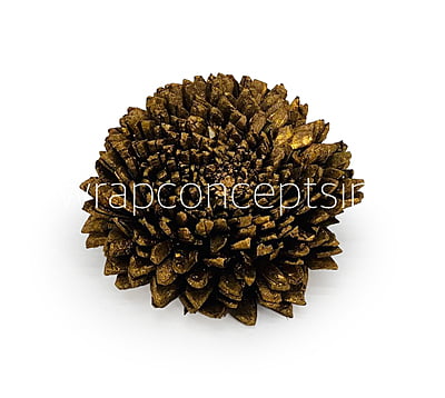 Dull Gold Sola Wood Zinnia