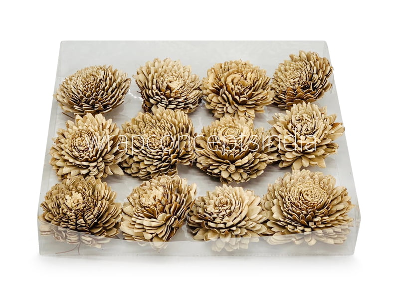 Natural Skin Sola Wood Zinnia