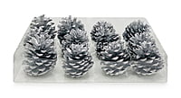 Silver Pine Cones