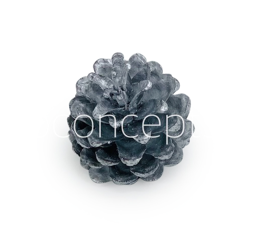Silver Pine Cones