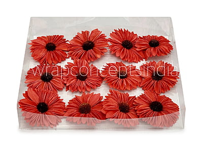Red Sola Wood Gerberas