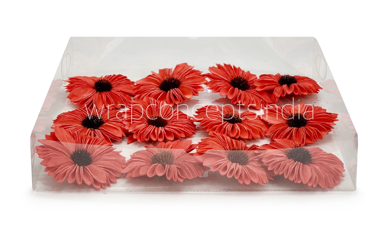 Red Sola Wood Gerberas