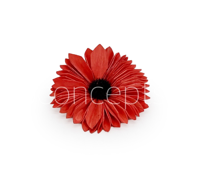Red Sola Wood Gerberas
