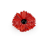 Red Sola Wood Gerberas