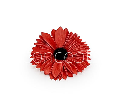 Red Sola Wood Gerberas
