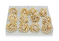 Natural Sola Wood Lillian