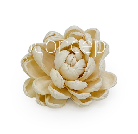 Natural Sola Wood Lillian
