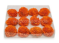 Orange Sola Wood Dahlia