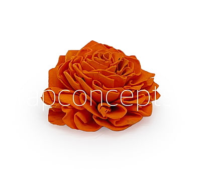 Orange Sola Wood Dahlia