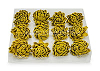 Olive Sola Wood Lillian