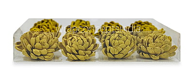 Olive Sola Wood Lillian