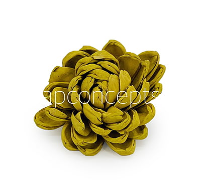 Olive Sola Wood Lillian